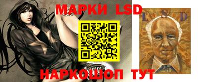 дмт Обнинск
