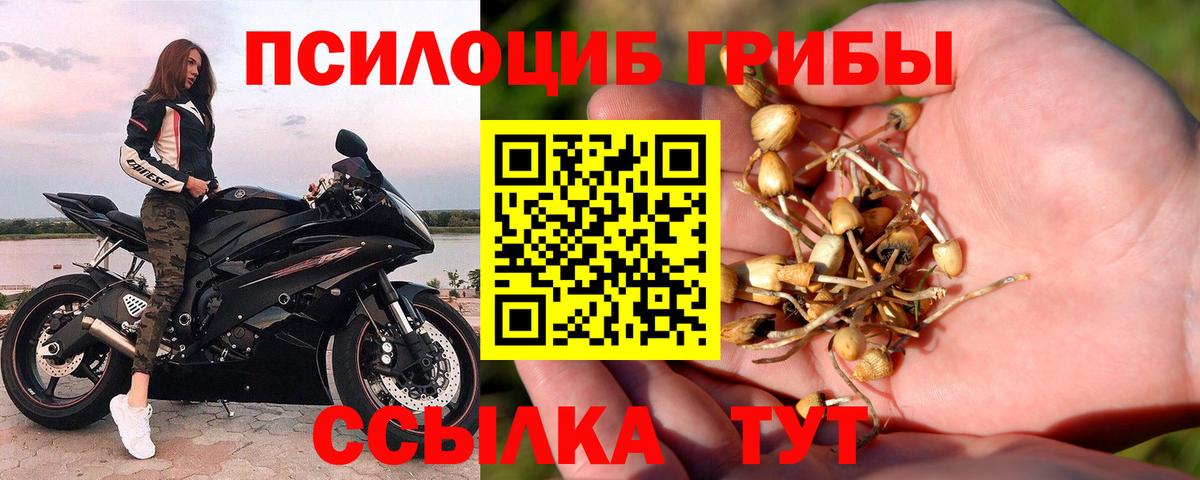 Петропавловск-Камчатский  Псилоцибиновые грибы Cubensis  Галлюциногенные грибы Psilocybe  Вход с VPN 